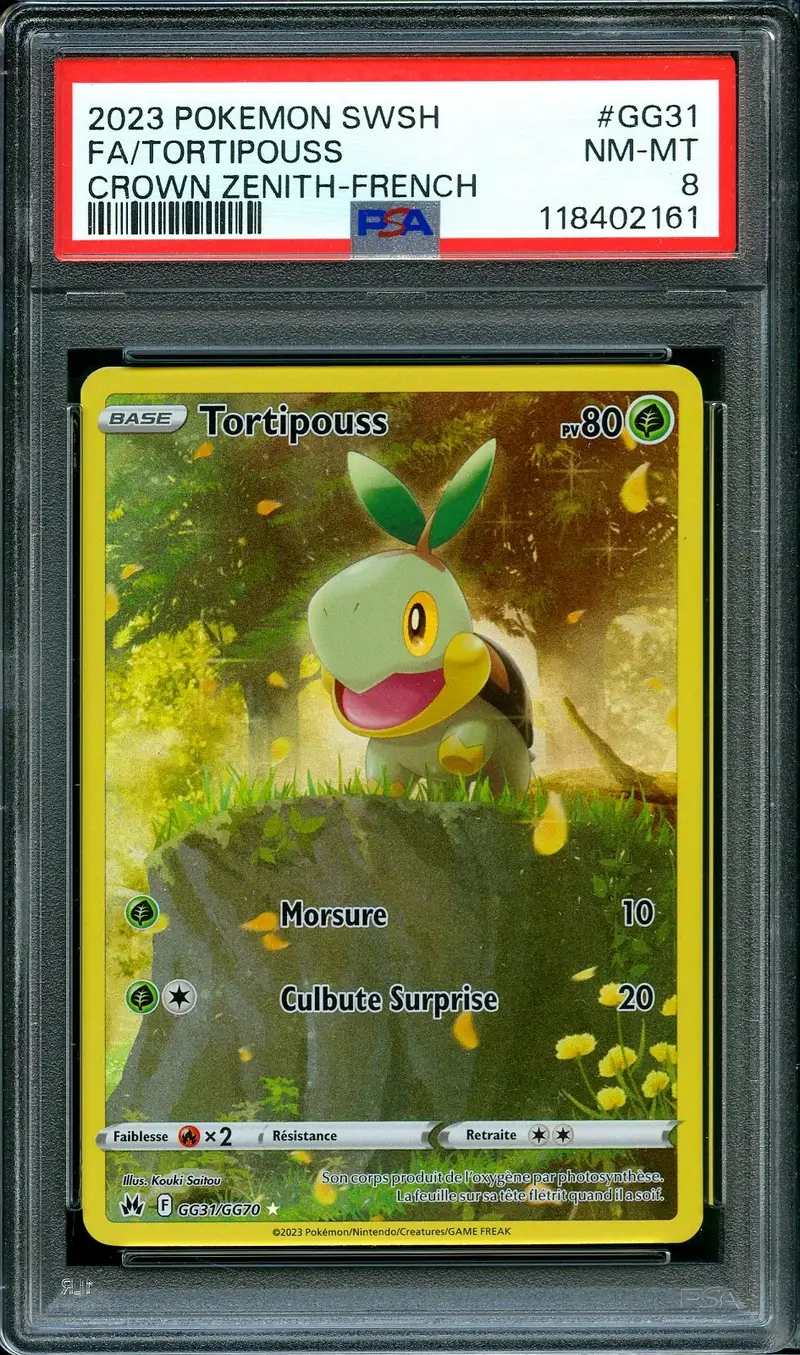 PSA 8 Tortipouss