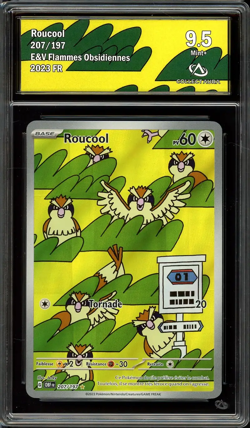 CA 9.5 Roucool