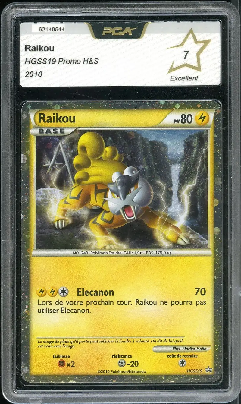 PCA 7 Raikou Holo