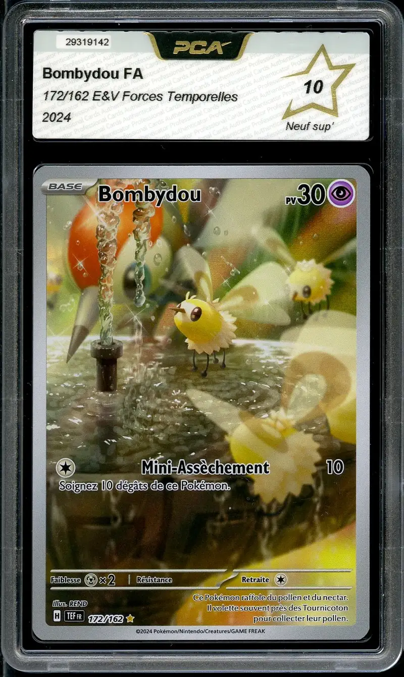PCA 10 Bombydou