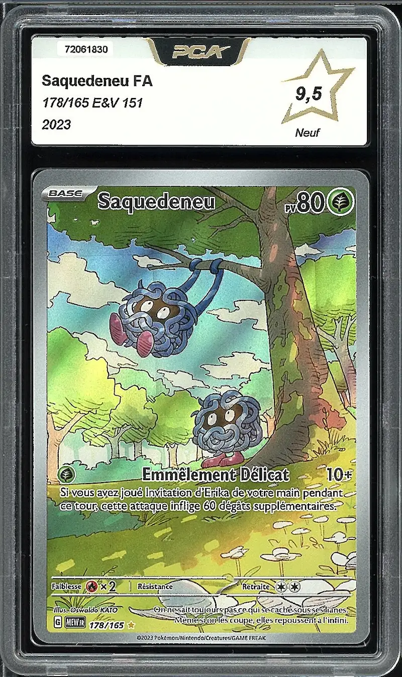 PCA 9.5 Saquedeneu