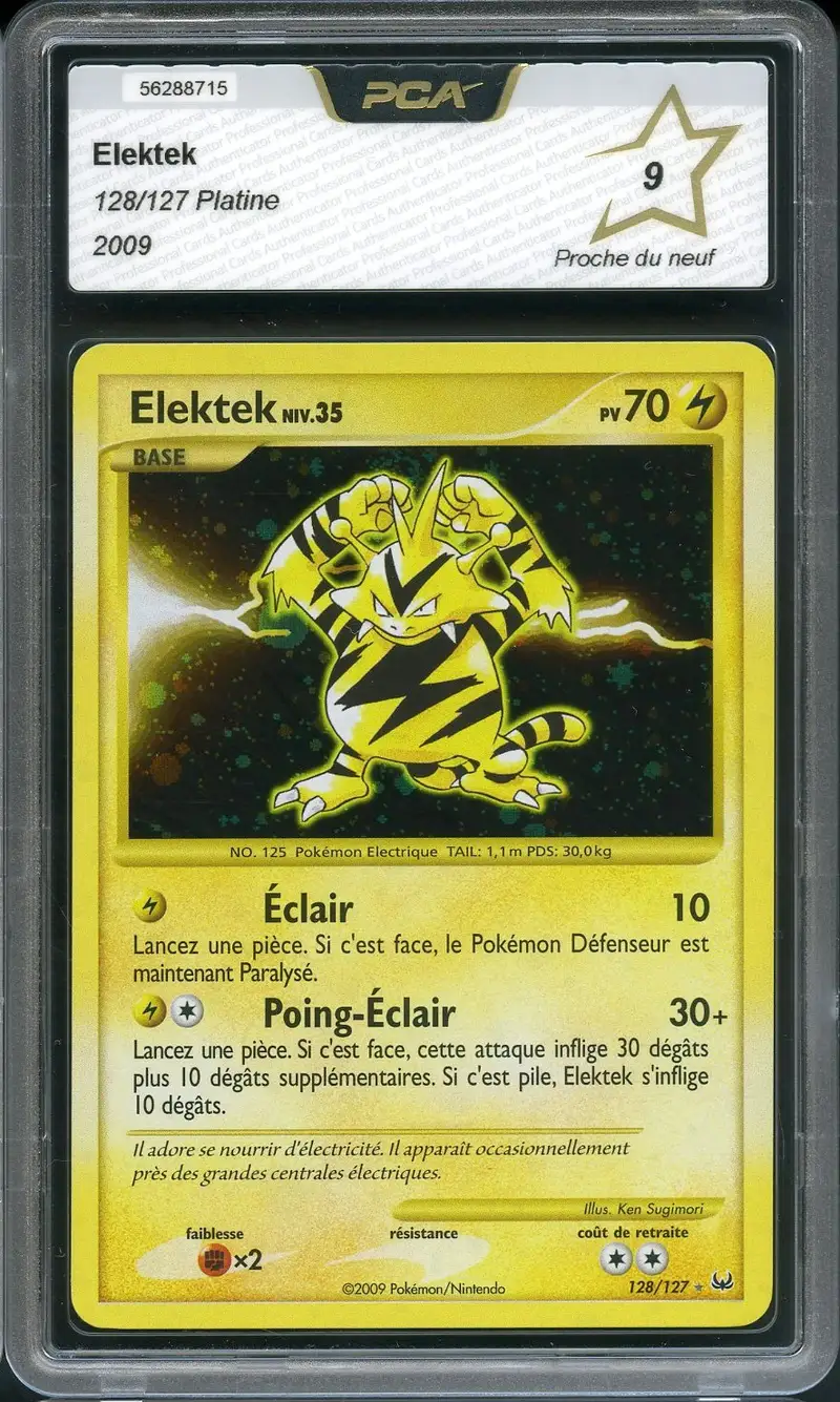PCA 9 Elektek Holo