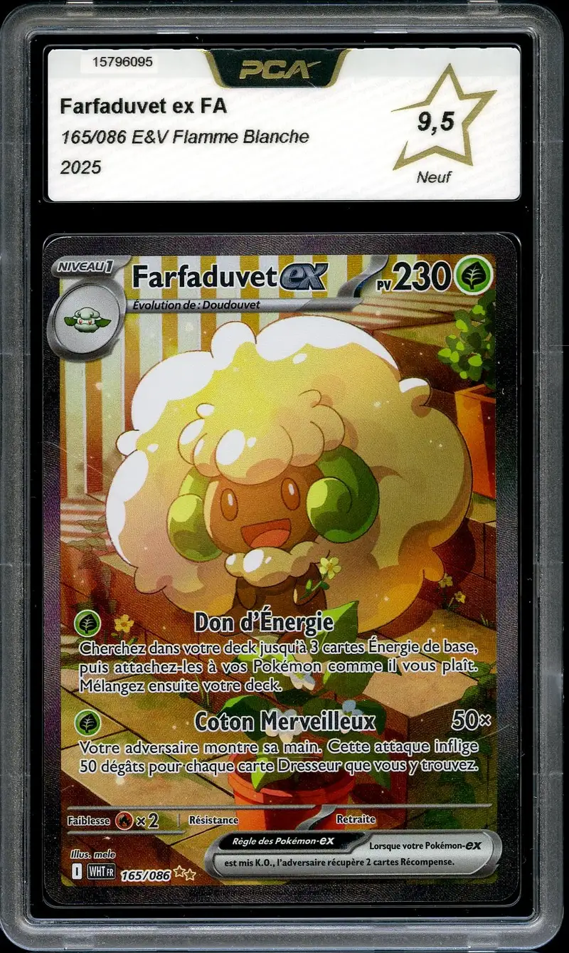 PCA 9.5 Farfaduvet Ex