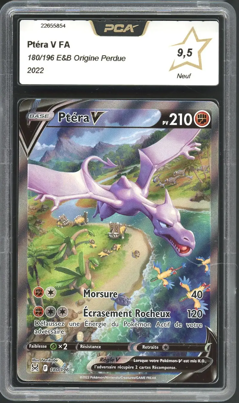 PCA 9.5 Ptéra V