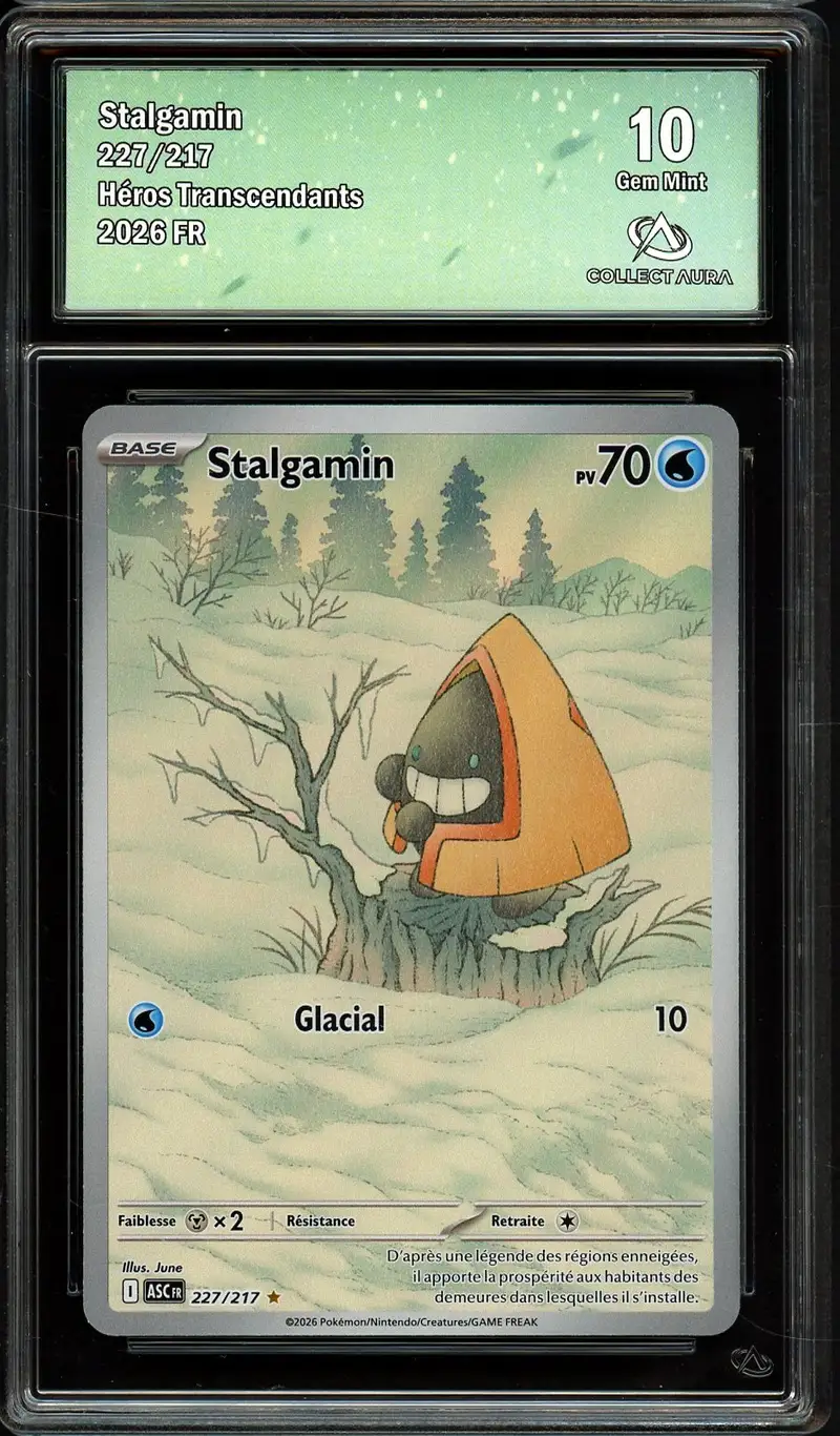CA 10 Stalgamin