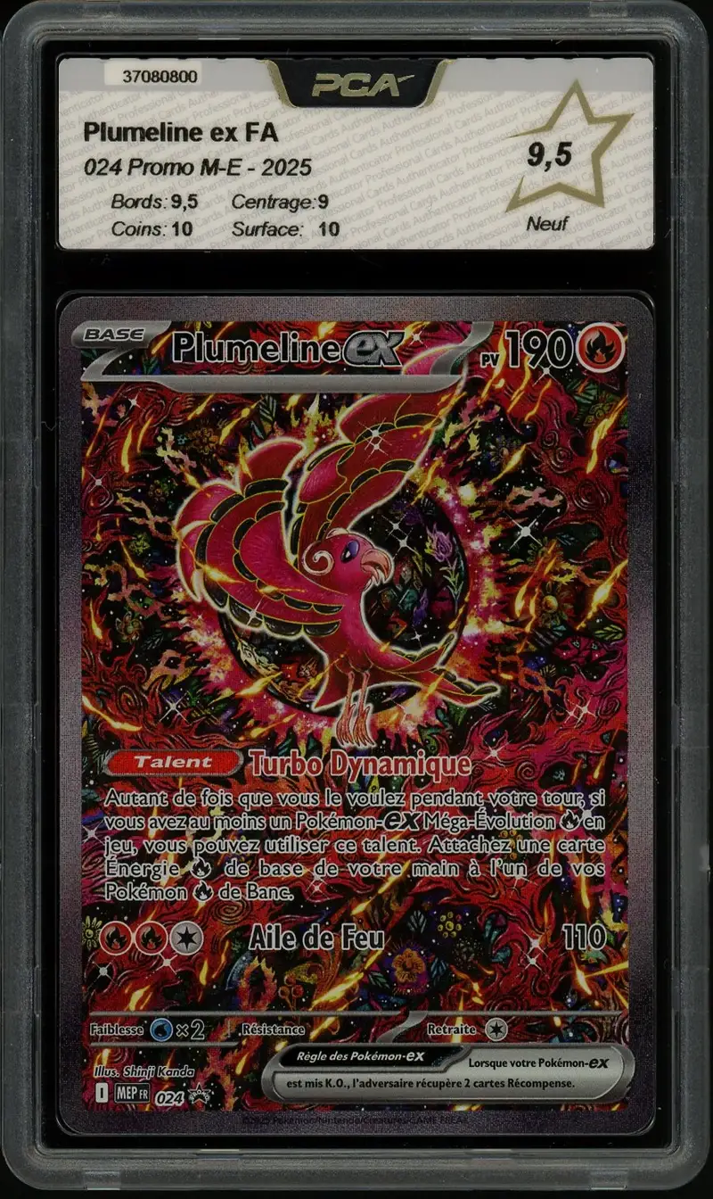 PCA 9.5 Plumeline Ex