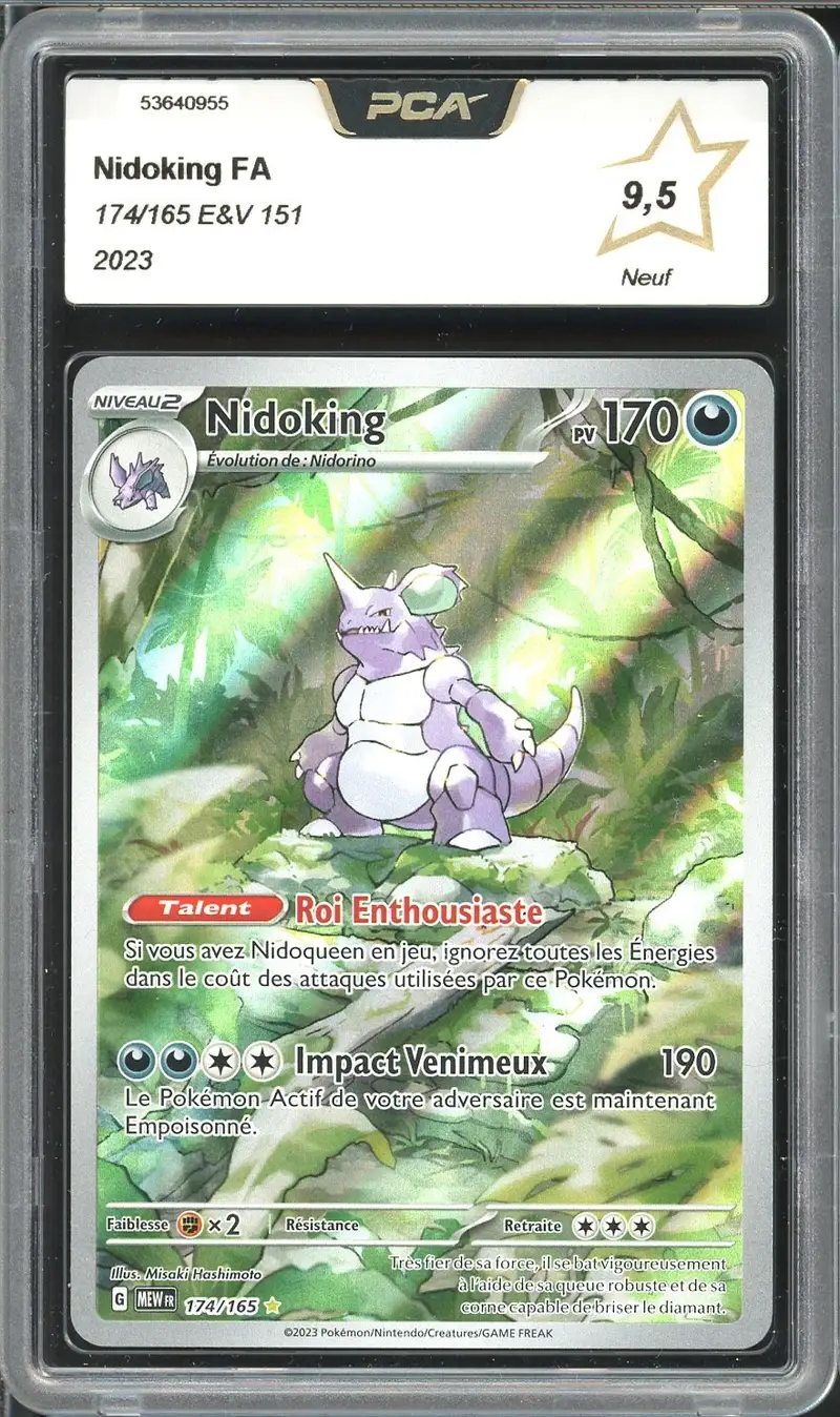 PCA 9.5 Nidoking