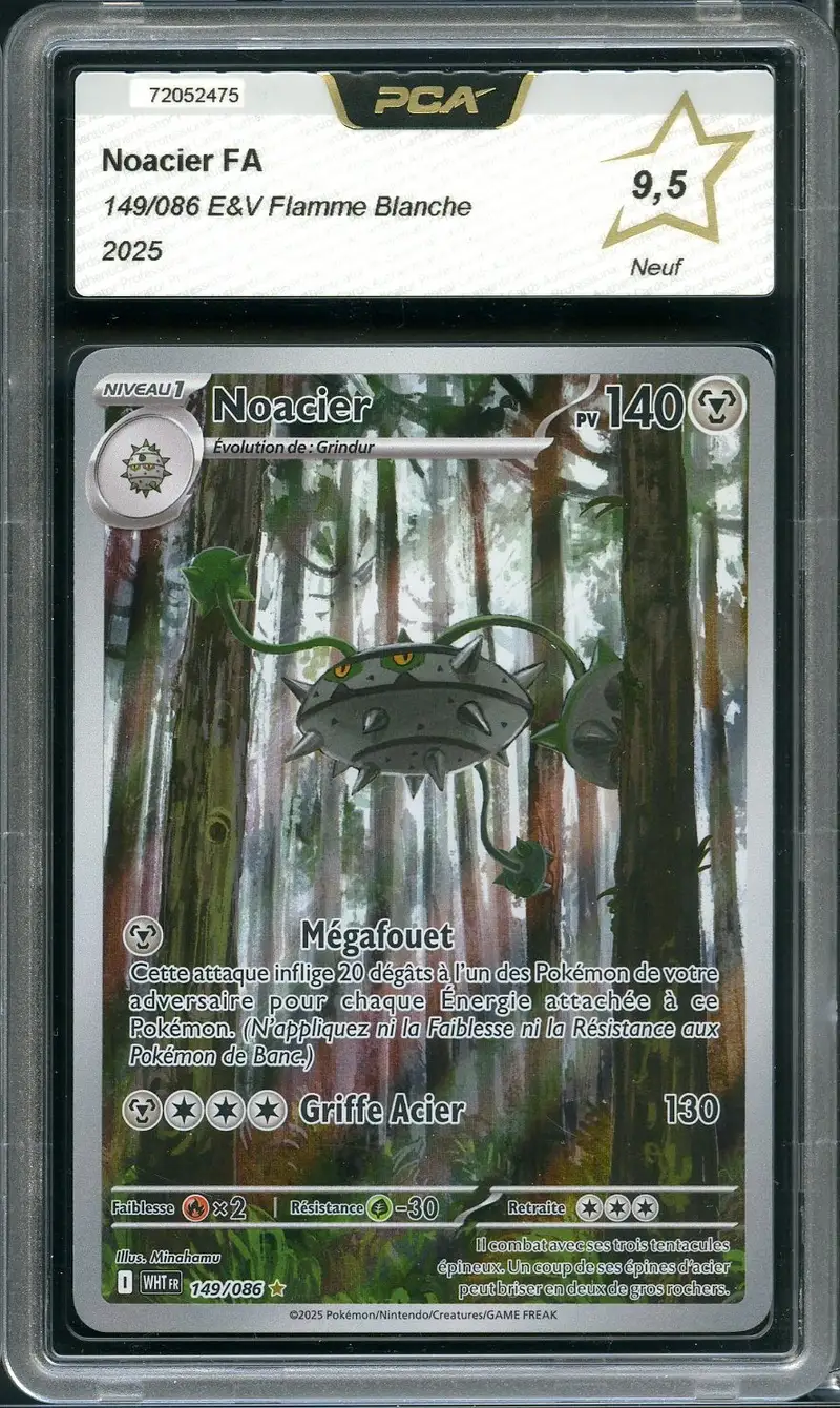 PCA 9.5 Noacier