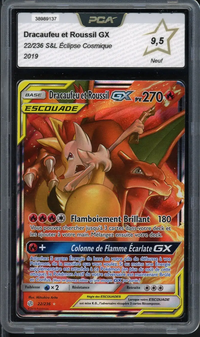 PCA 9.5 Dracaufeu et Roussil Gx