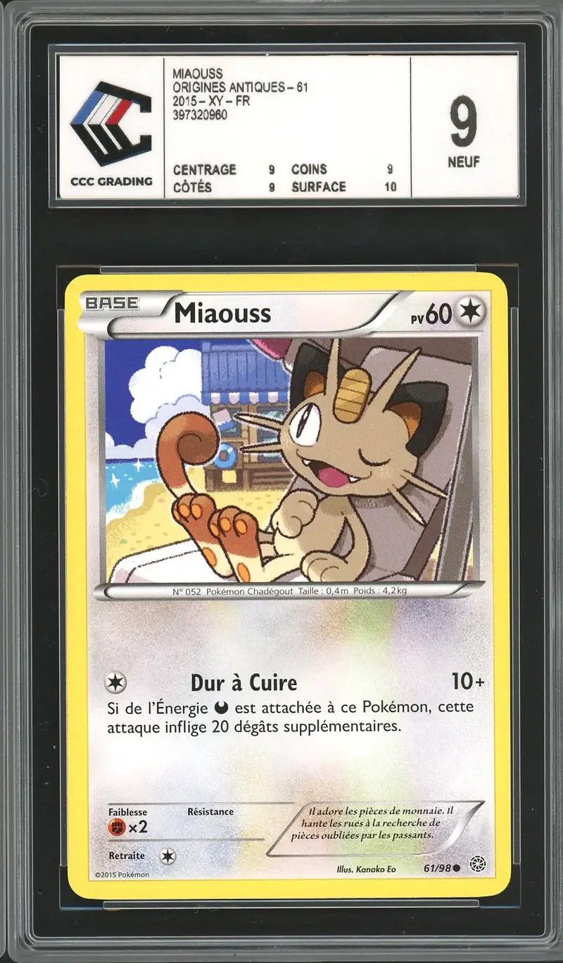 CCC 9 Miaouss