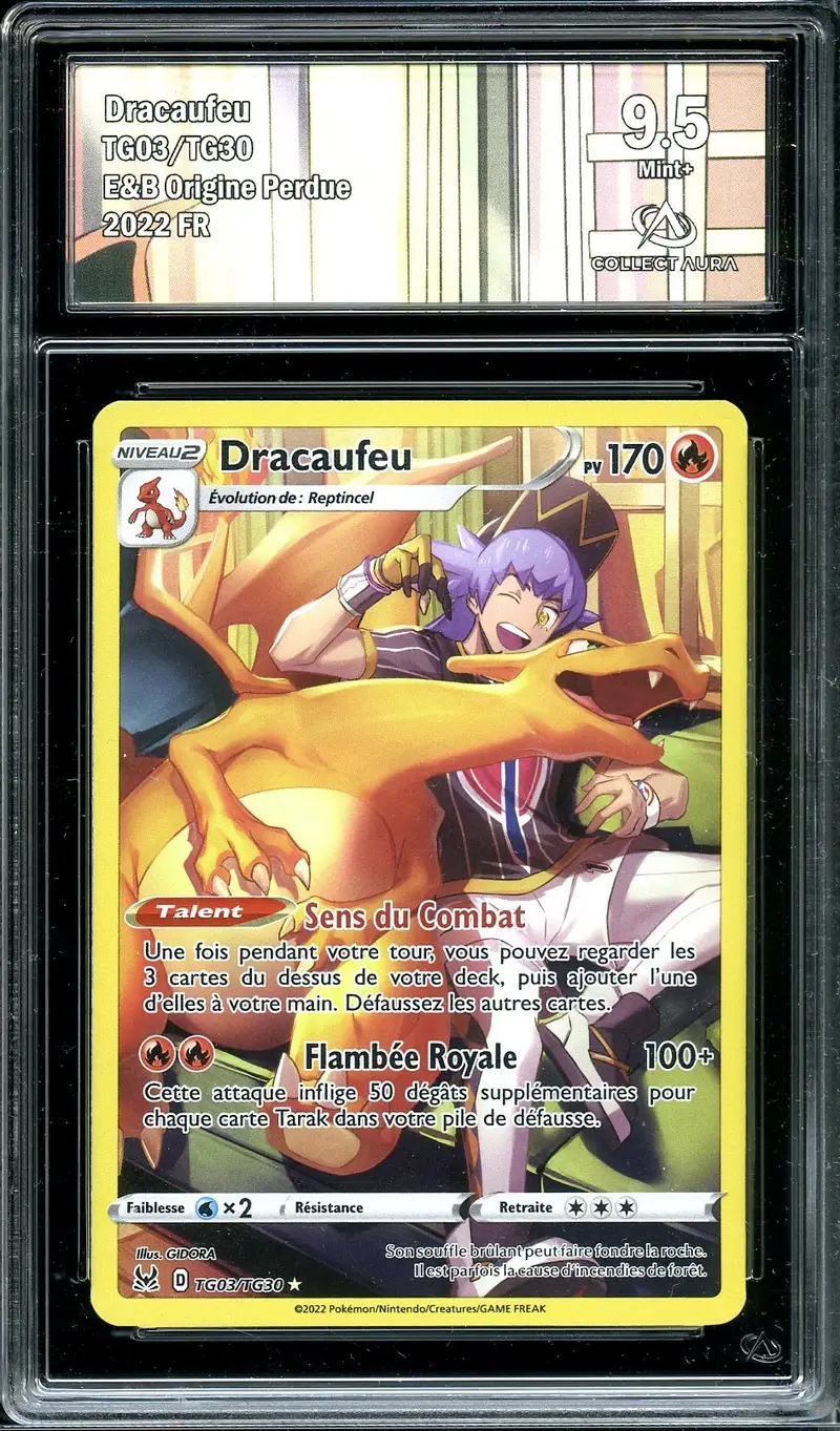CA 9.5 Dracaufeu