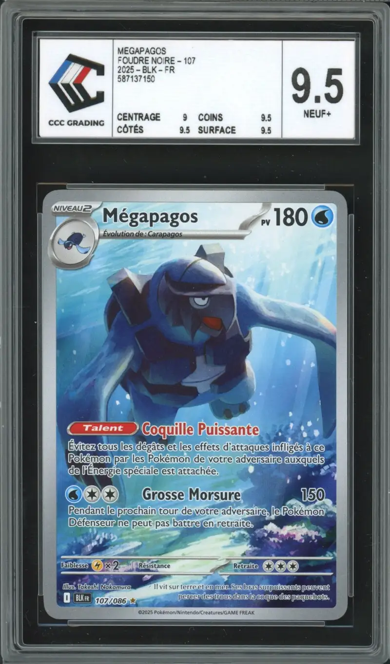 CCC 9.5 Mégapagos