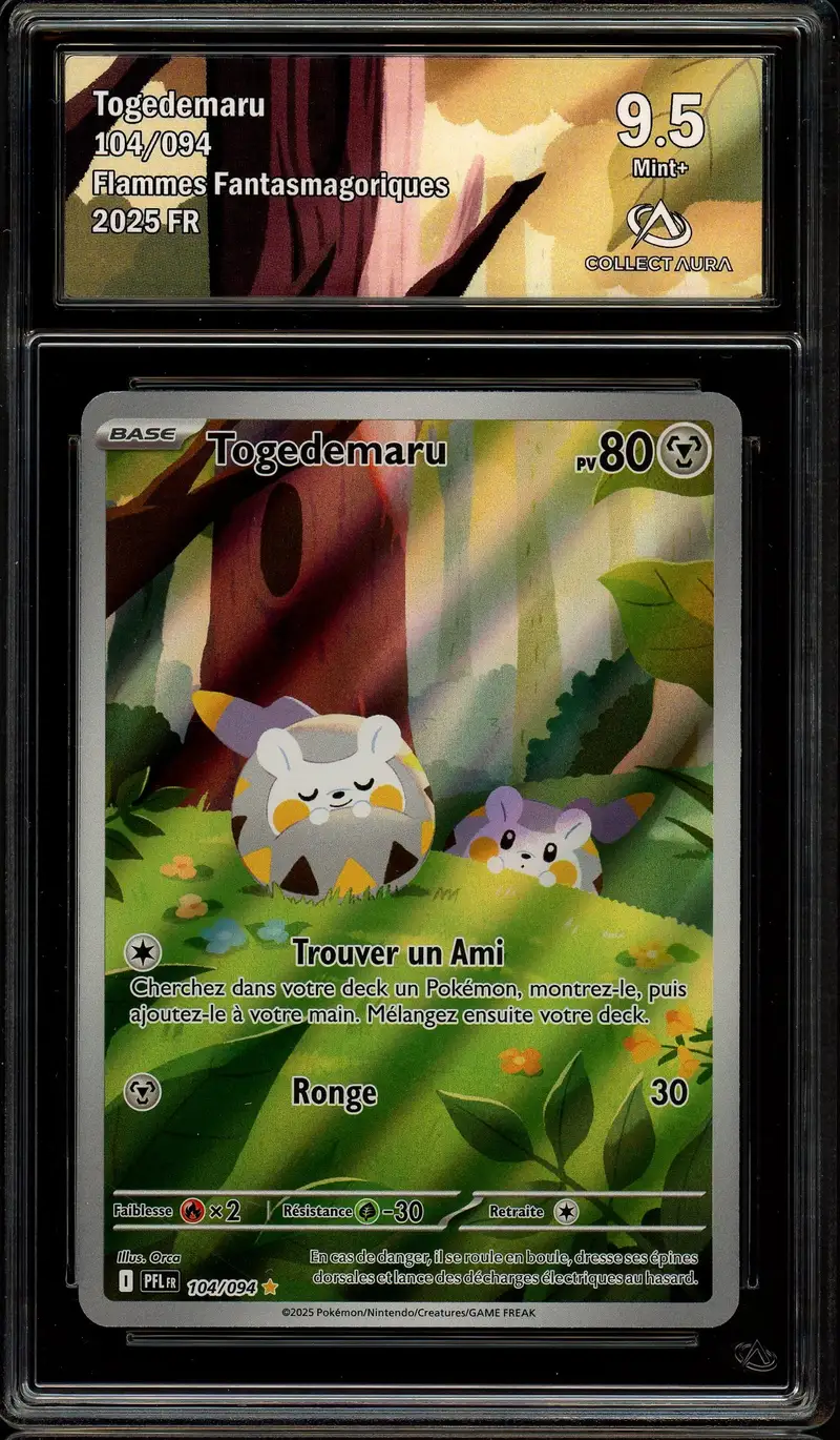 CA 9.5 Togedemaru