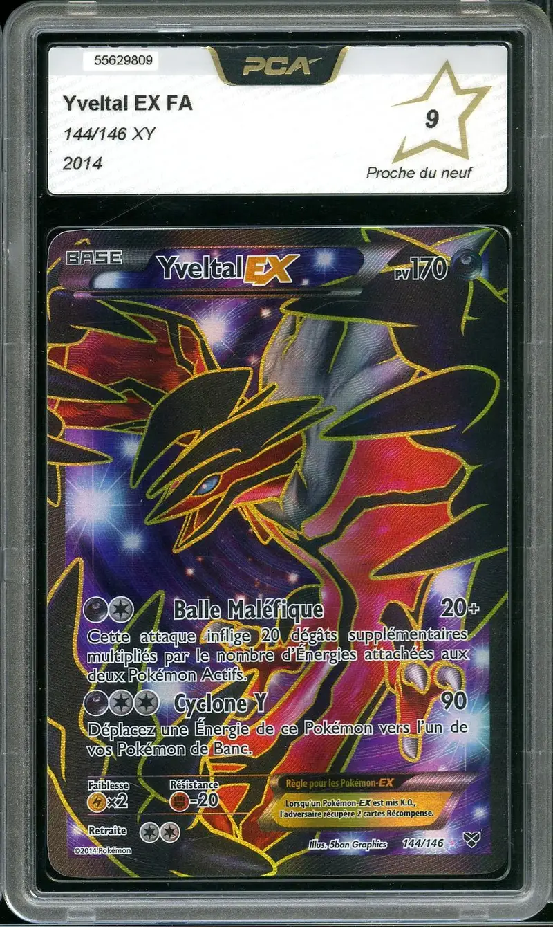PCA 9 Yveltal Ex