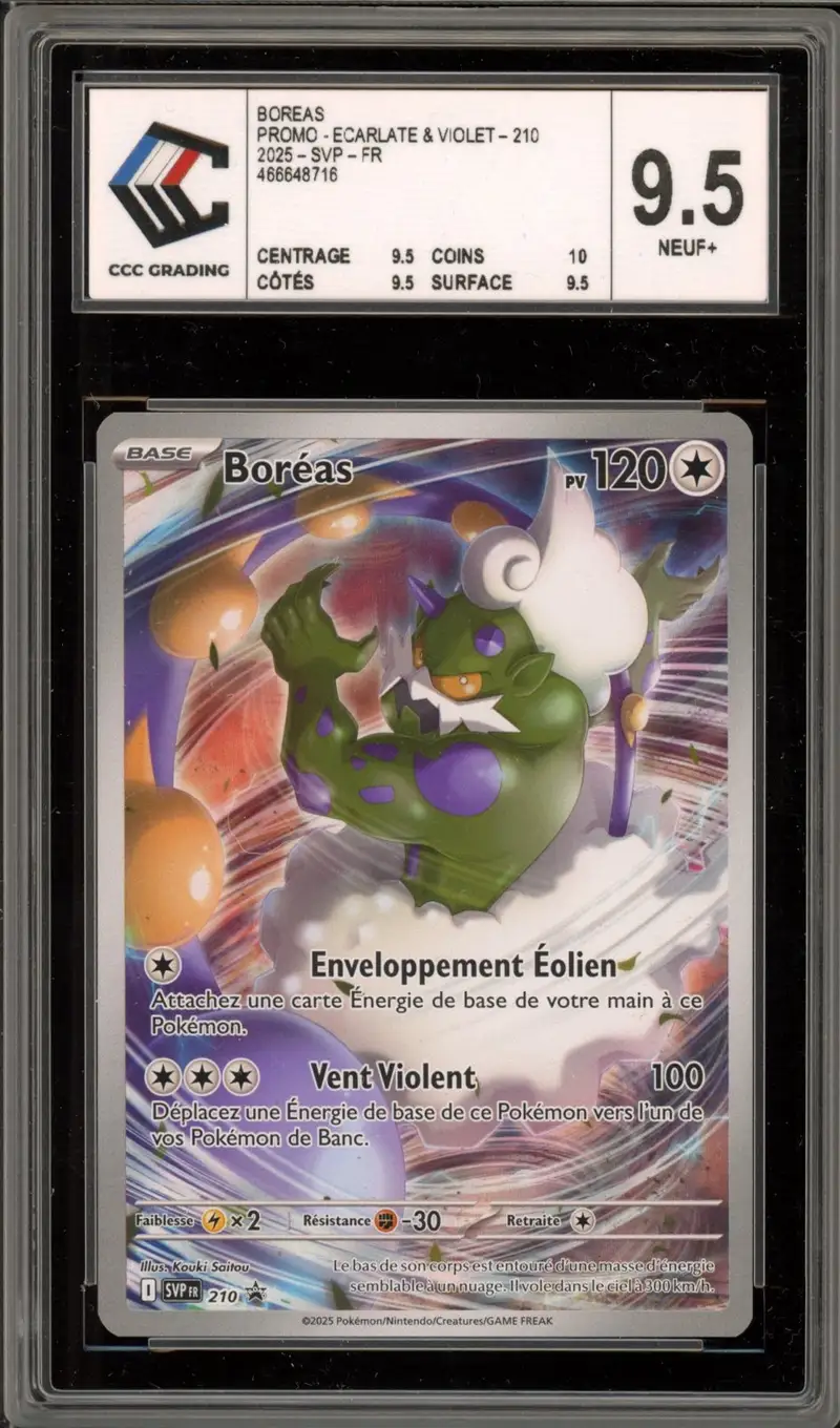 CCC 9.5 Boréas
