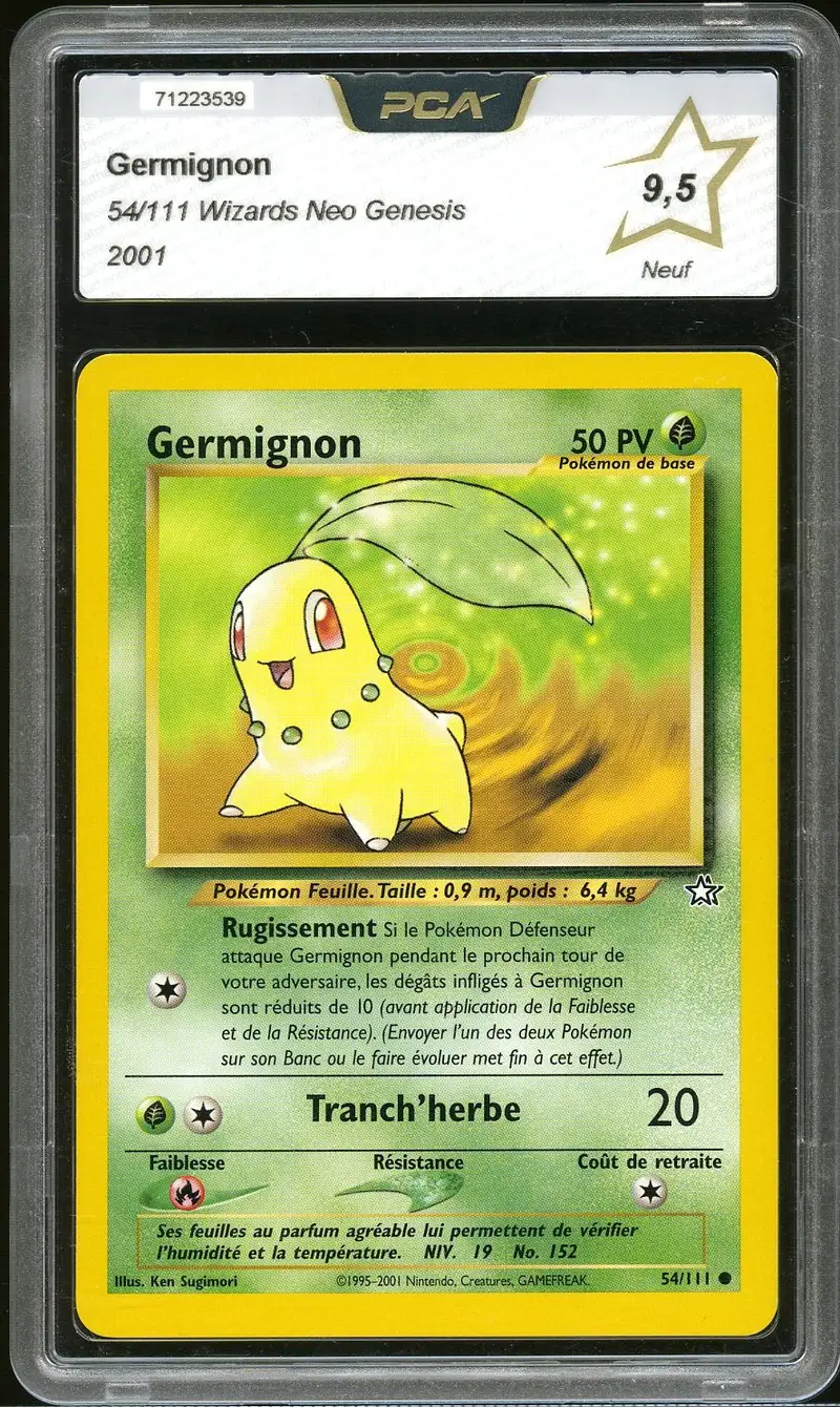 PCA 9.5 Germignon