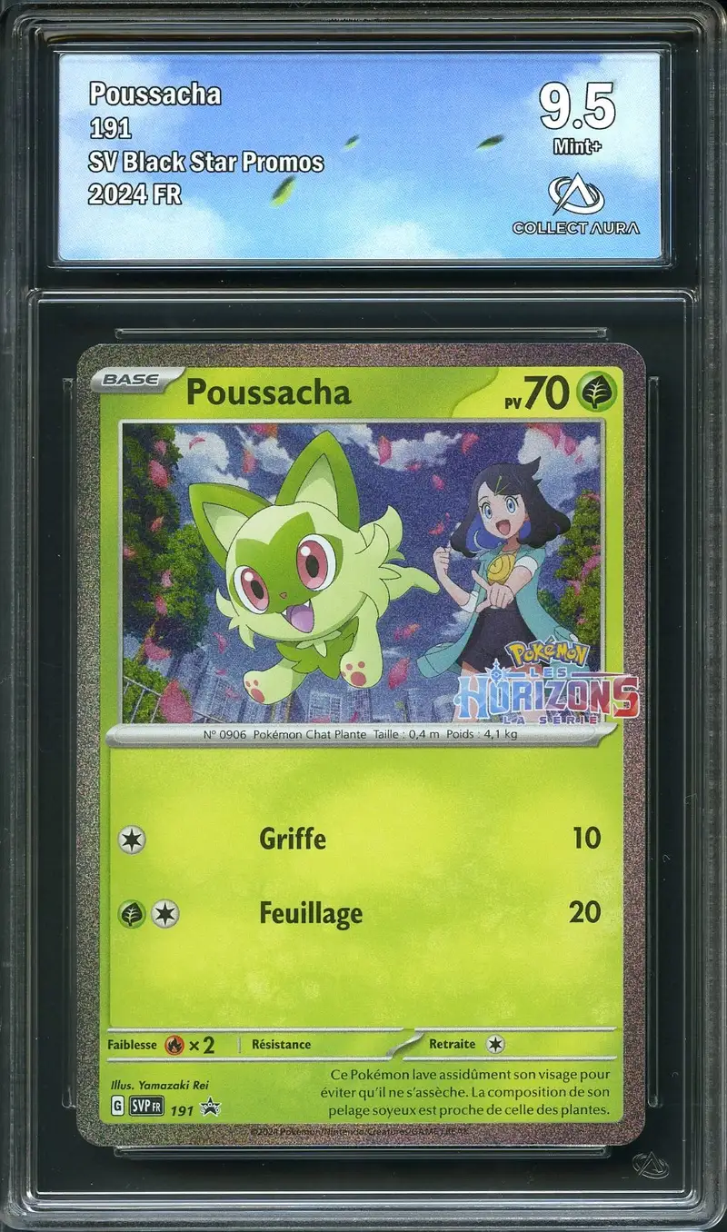 CA 9.5 Poussacha
