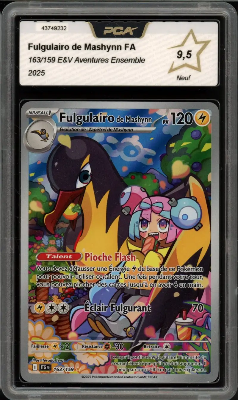 PCA 9.5 Fulgulairo de Mashynn