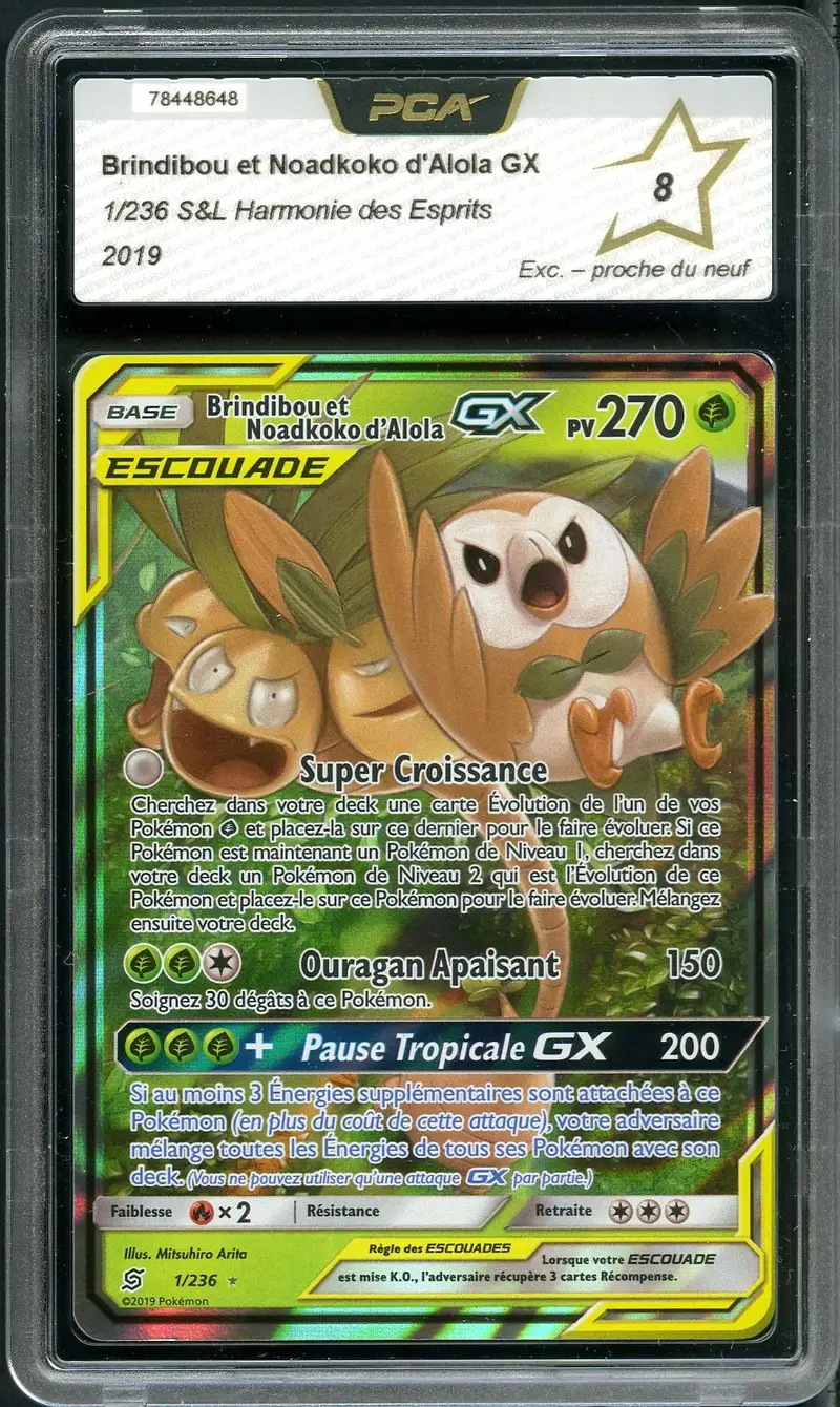 PCA 8 Brindibou et Noadkoko d’Alola Gx