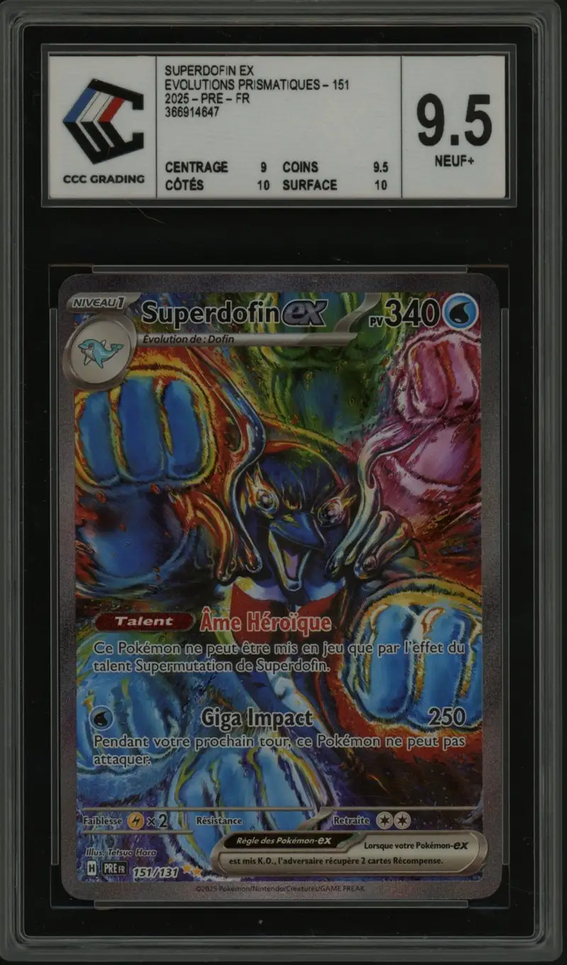 CCC 9.5 Superdofin Ex