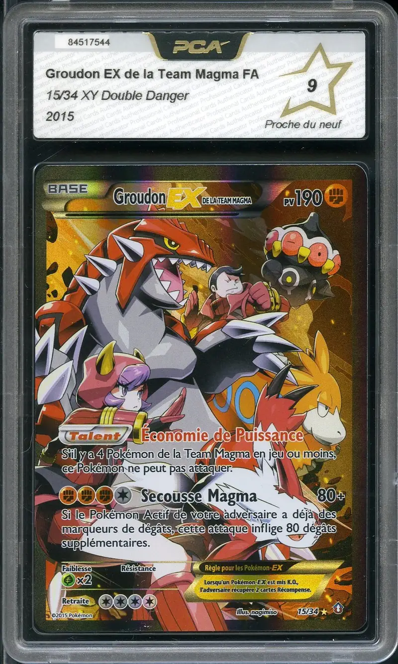 PCA 9 Groudon Ex de la Team Magma