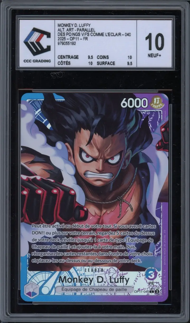 CCC 10 Monkey D. Luffy