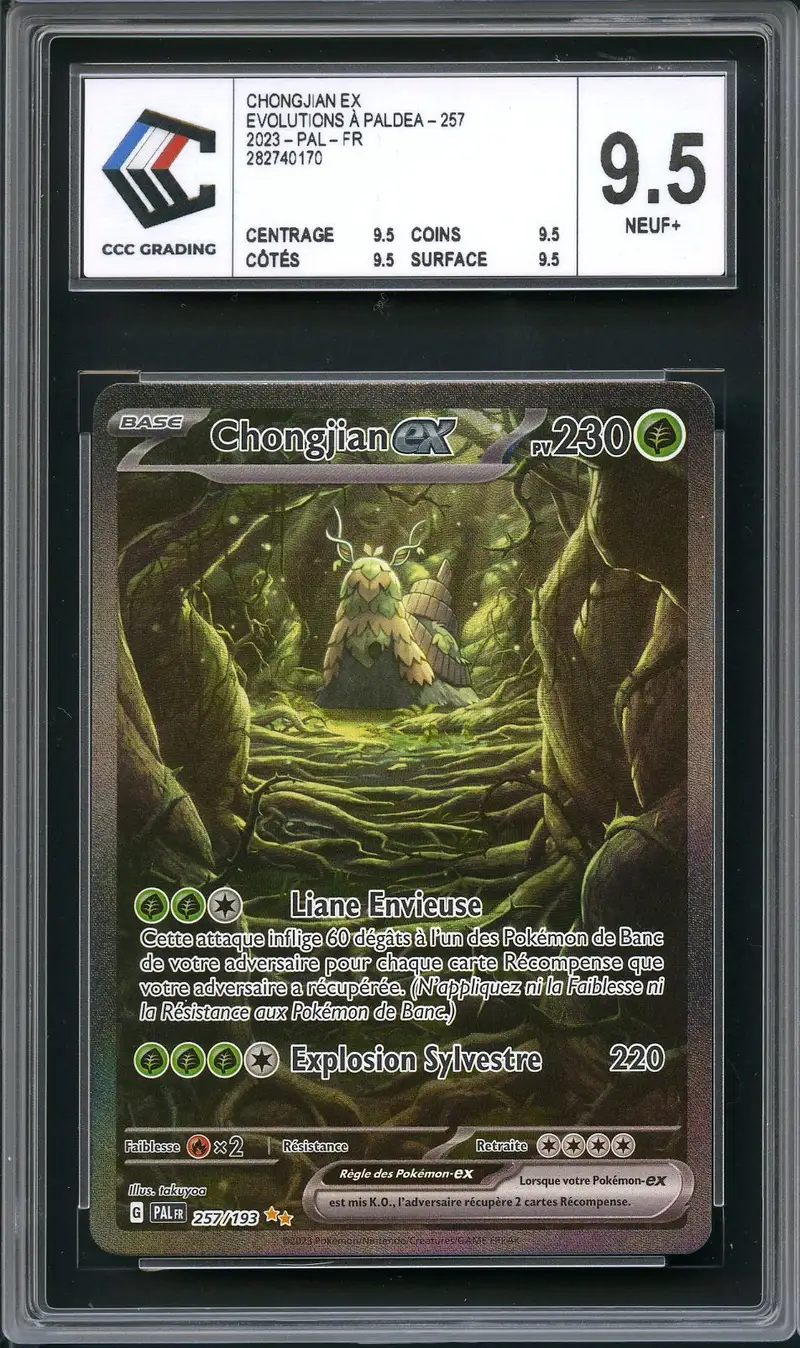 CCC 9.5 Chongjian Ex