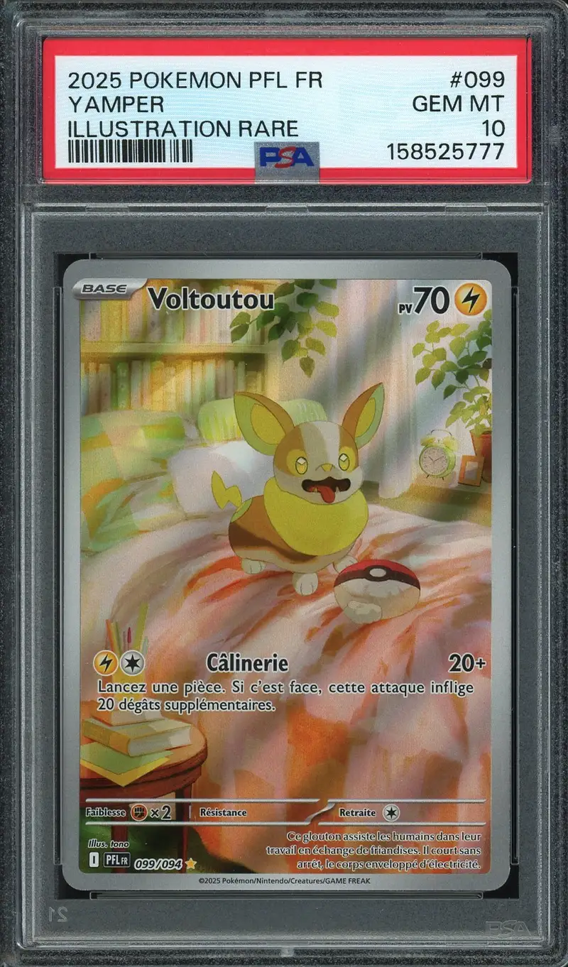 PSA 10 Voltoutou