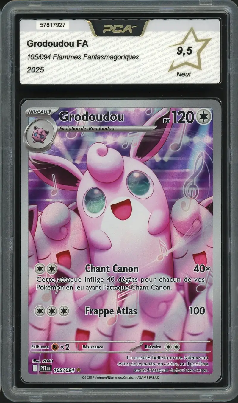 PCA 9.5 Grodoudou