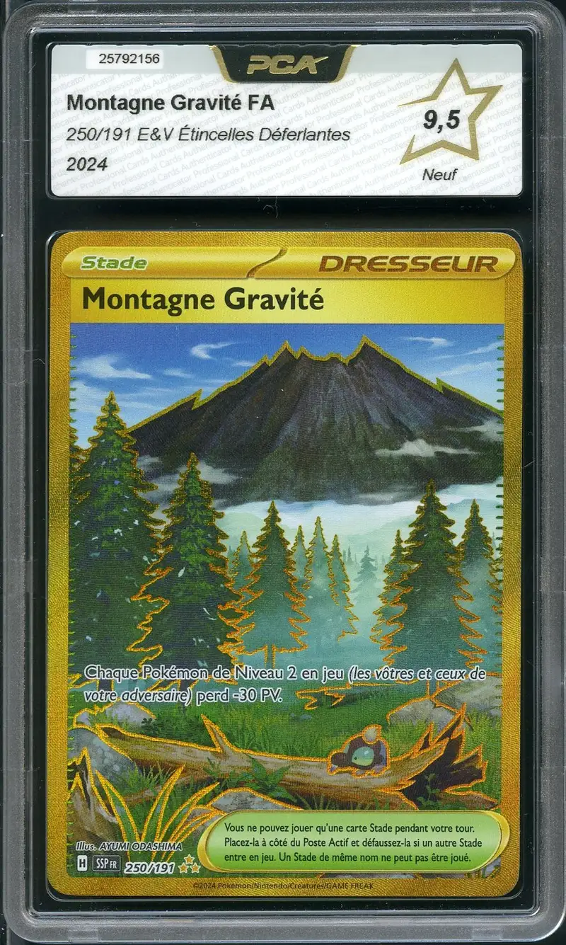 PCA 9.5 Montagne Gravité Gold