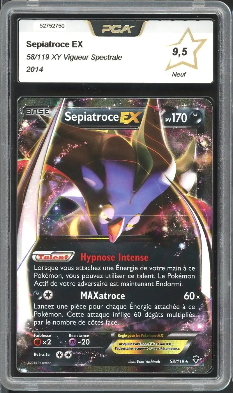 PCA 9.5 Sépiatroce Ex