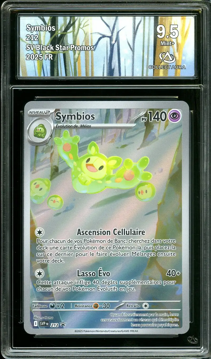 CA 9.5 Symbios