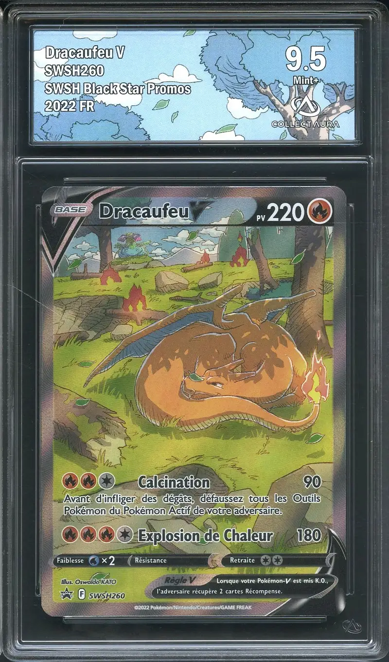 CA 9.5 Dracaufeu V