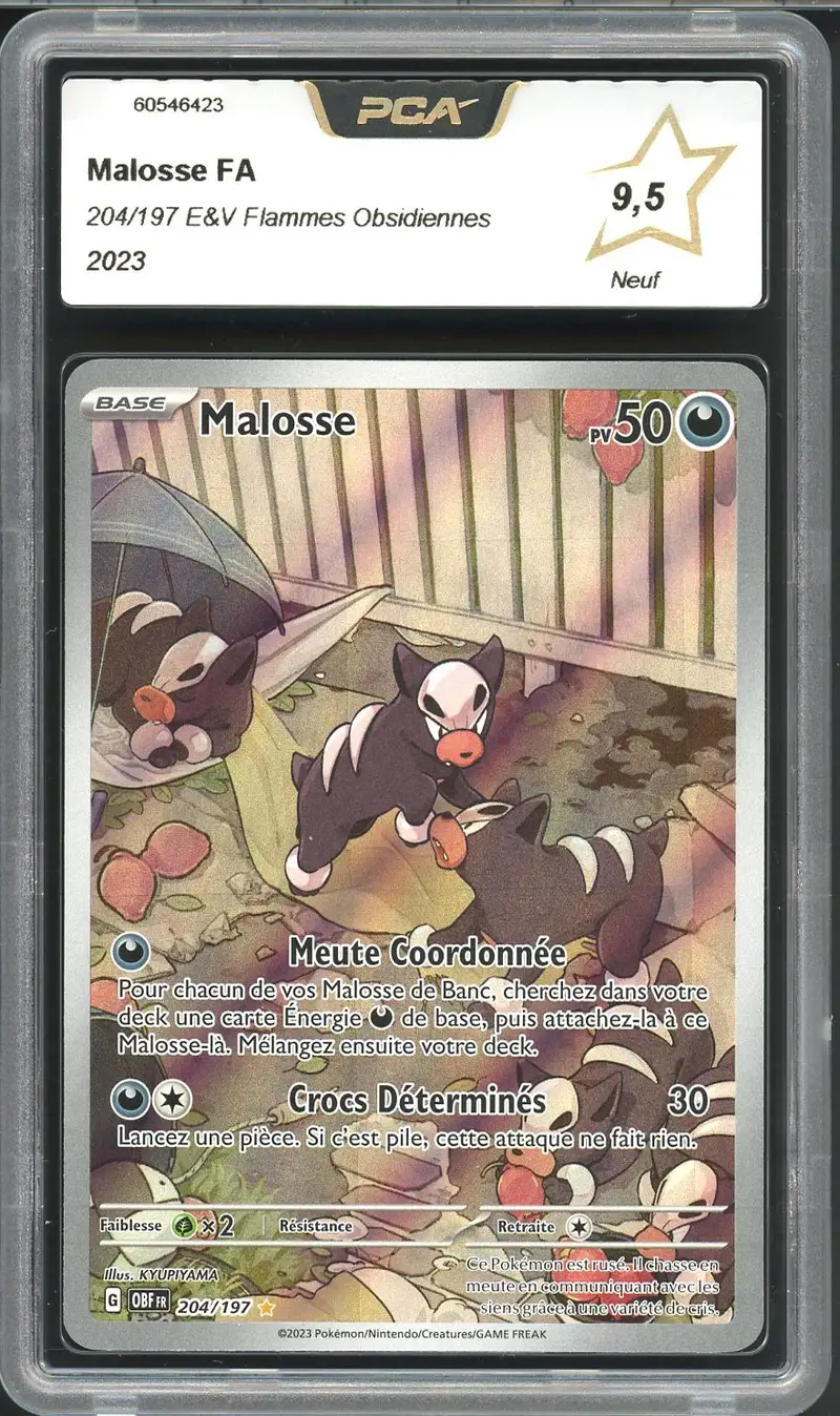 PCA 9.5 Malosse