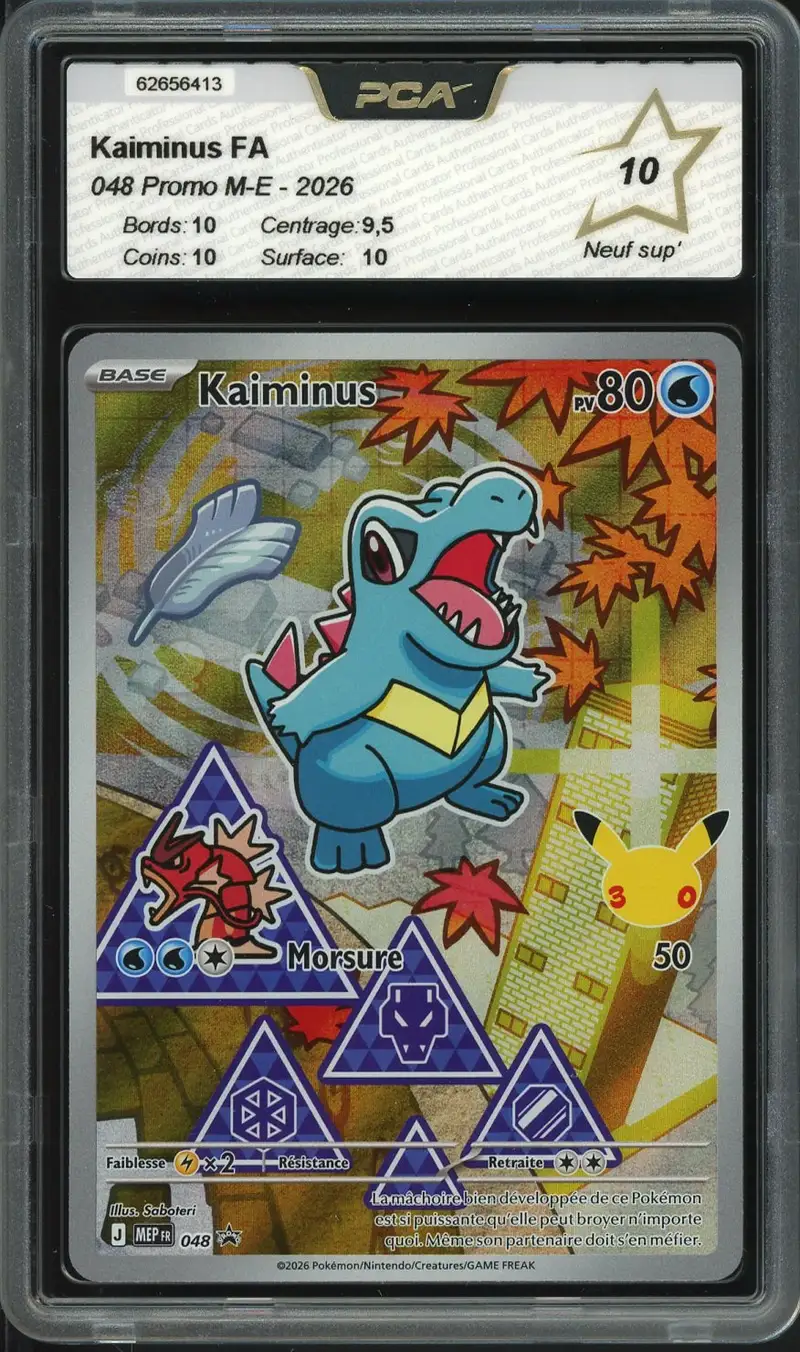 PCA 10 Kaiminus