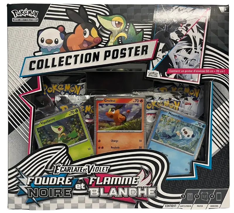 Coffret Collection Poster EV10.5 Foudre Noire et Flamme Blanche