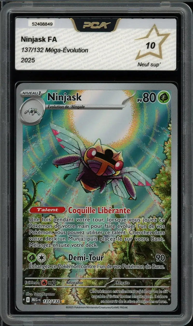 PCA 10 Ninjask