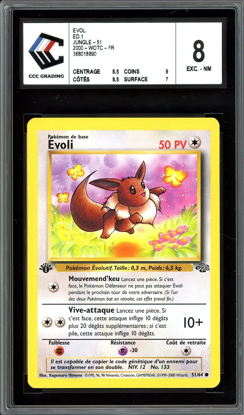 CCC 8 Evoli
