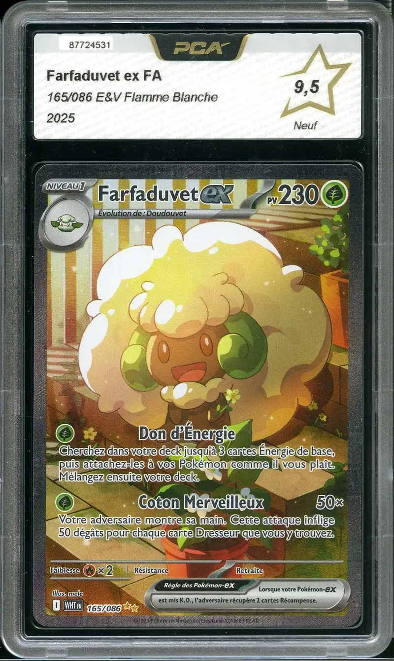 PCA 9.5 Farfaduvet Ex