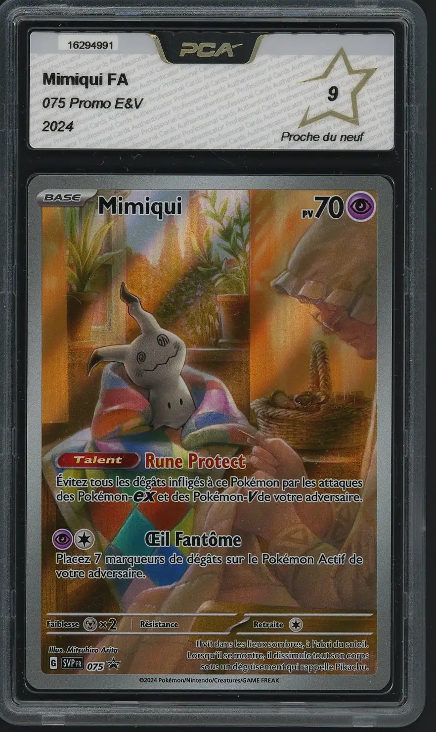 PCA 9 Mimiqui