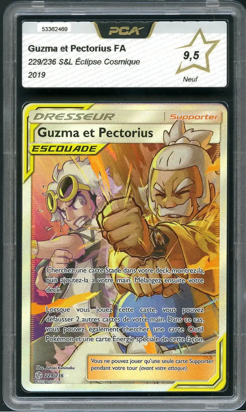 PCA 9.5 Guzma et Pectorius