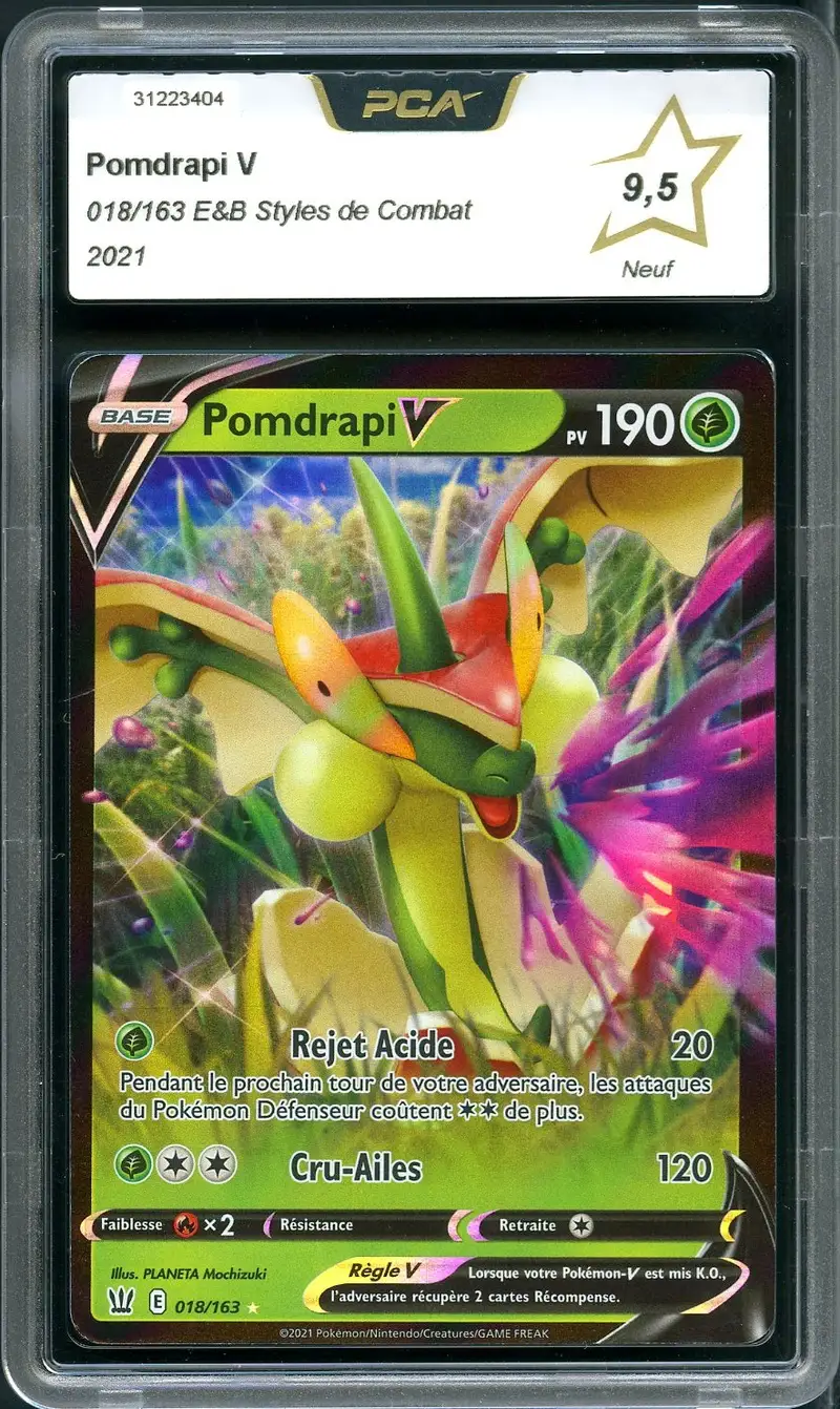 PCA 9.5 Pomdrapi V