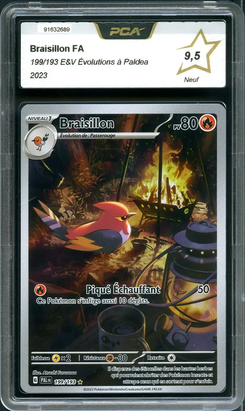 PCA 9.5 Braisillon