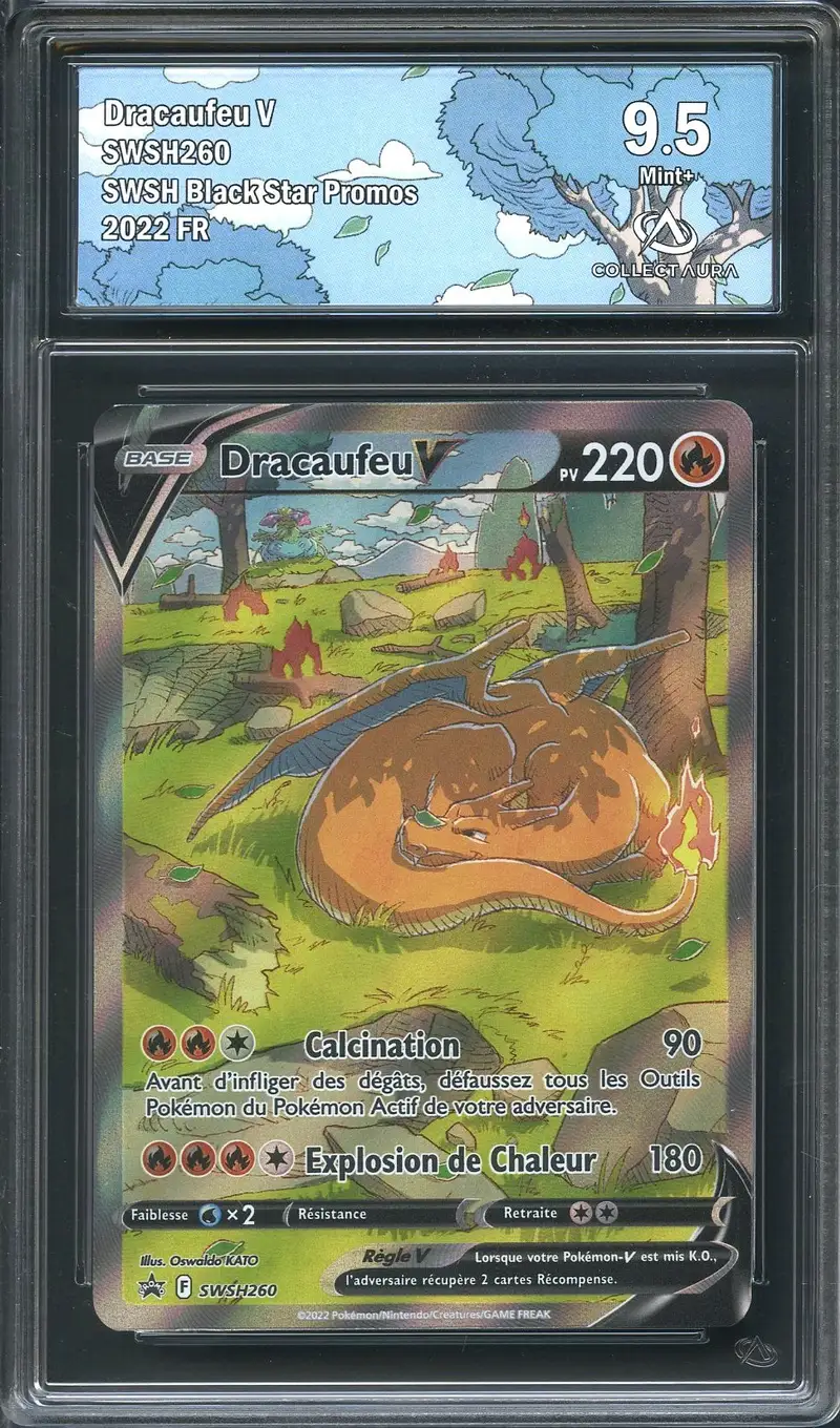 CA 9.5 Dracaufeu V