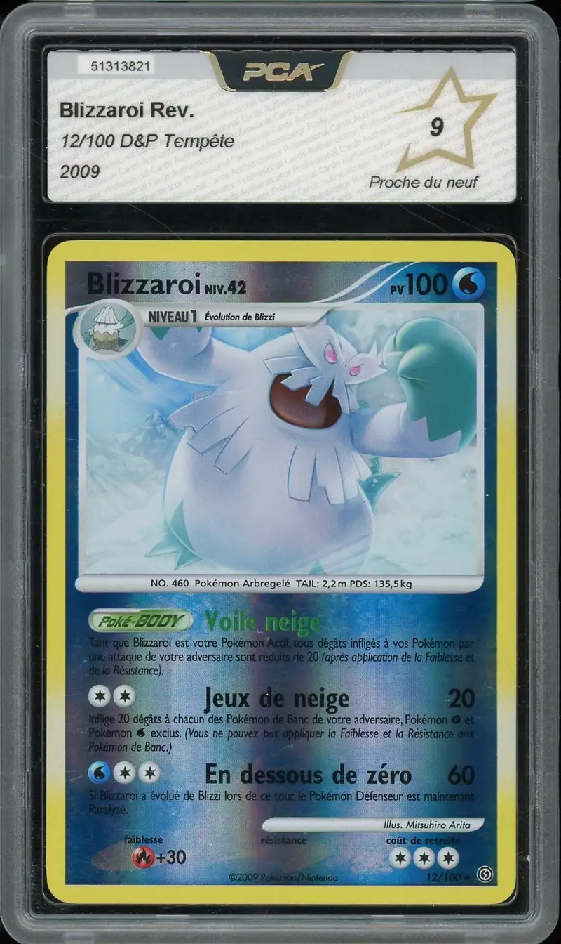 PCA 9 Blizzaroi Reverse