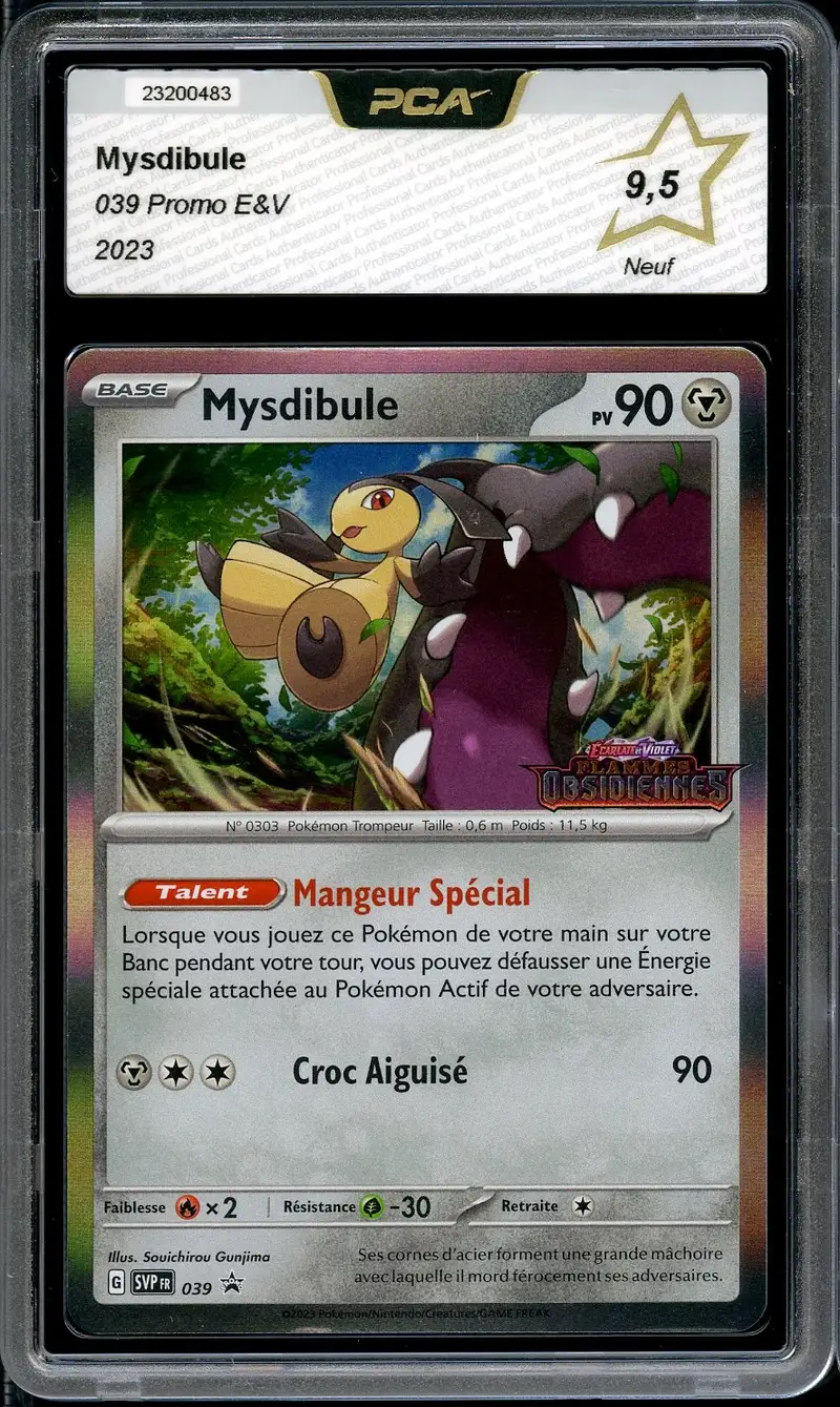 PCA 9.5 Mysdibule