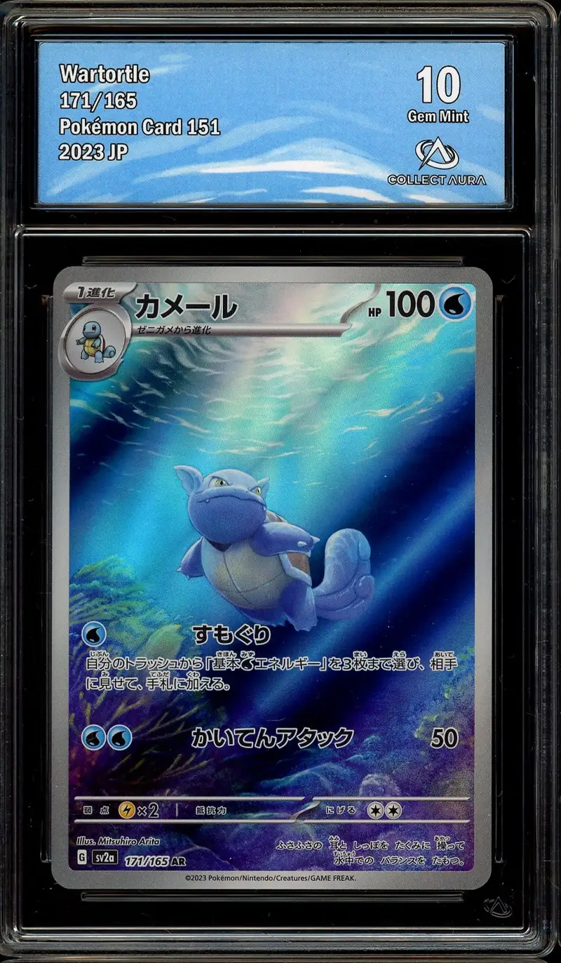 CA 10 Wartortle