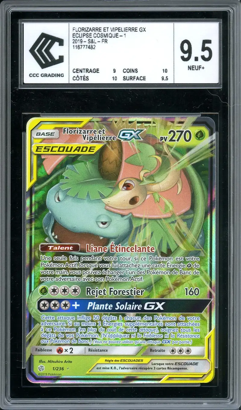 CCC 9.5 Florizarre & Vipélierre Gx