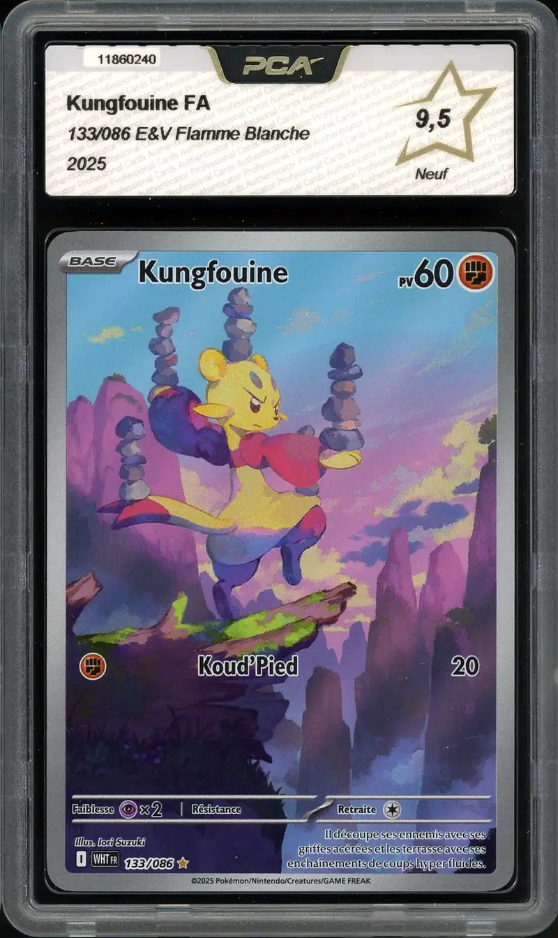 PCA 9.5 Kungfouine