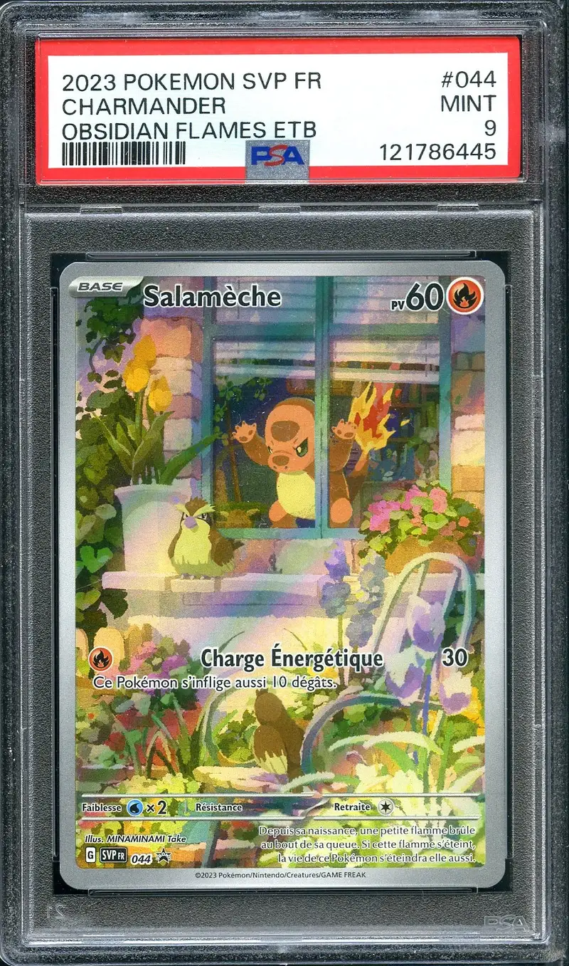 PSA 9 Salamèche